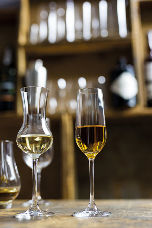 Schott Zwiesel Bar Special verre à sherry 12 Cl - 6 pièces