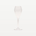 Bar Professional Lounge Champagnerglas / Flöte aus Kunststoff 24 Cl – 6 Stück